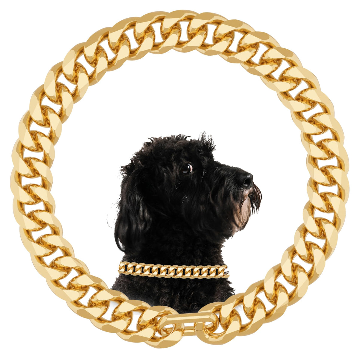 Gold Cuban Chain Dogs Collar 19mm Thick Light Metal with 18K Gold Plated Metal Link Dogs Collar for Puppy Small Medium Large Dogs (26 Inch)